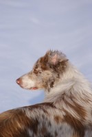 /album/mona/dsc00133-jpg/