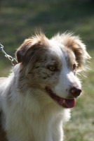 /album/mona/dsc00432-jpg1/