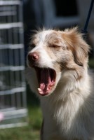 /album/mona/dsc00436-jpg/