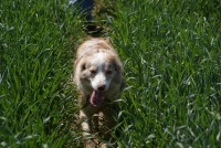 /album/mona/dsc00816-jpg/