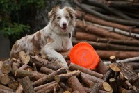 /album/mona/dsc00891-jpg1/