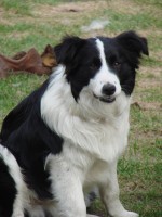 /album/jerry/dsc08690-jpg1/