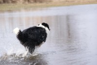 /album/jerry/dsc00299-jpg/