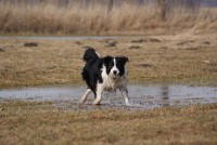 /album/jerry/dsc00308-jpg1/