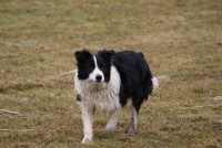 /album/jerry/dsc00365-jpg1/