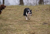 /album/jerry/dsc00404-jpg/