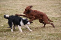 /album/jerry/dsc00419-jpg/