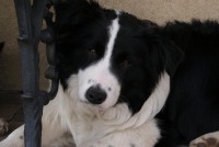 /album/jerry/dsc00606-jpg/