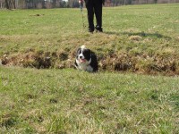 /album/jerry/dsc08707-jpg/