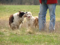 /album/borderkowy-team/dsc04276-jpg/