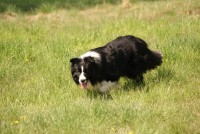 /album/teo/dsc00753-jpg/