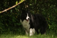 /album/teo/dsc00096-jpg/